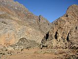 21 Kyang On The Trek From Jhunam Camp To Phu 